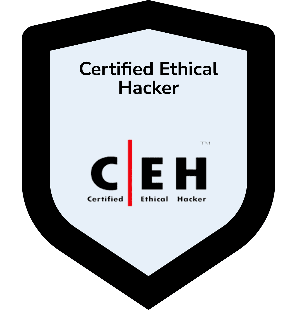 Certified Ethical Hacker