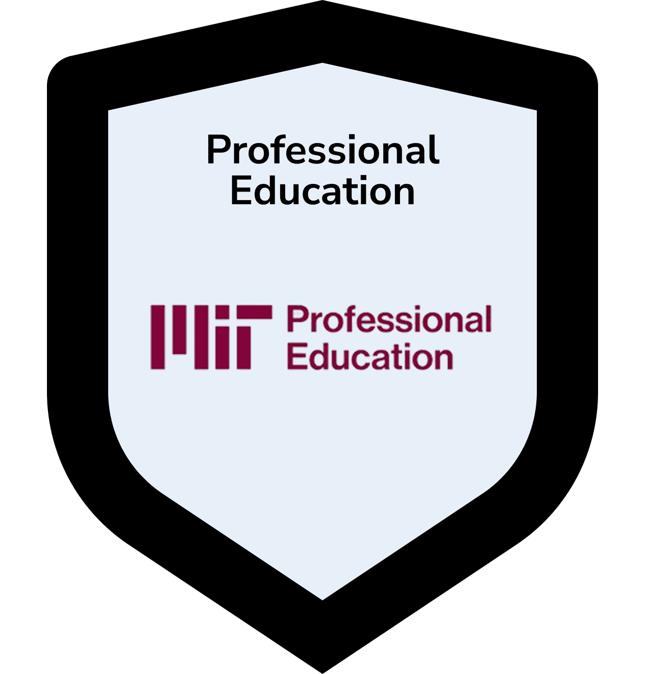 Professional Education