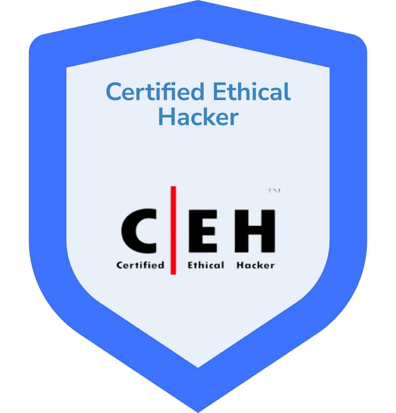 Certified Ethical Hacker
