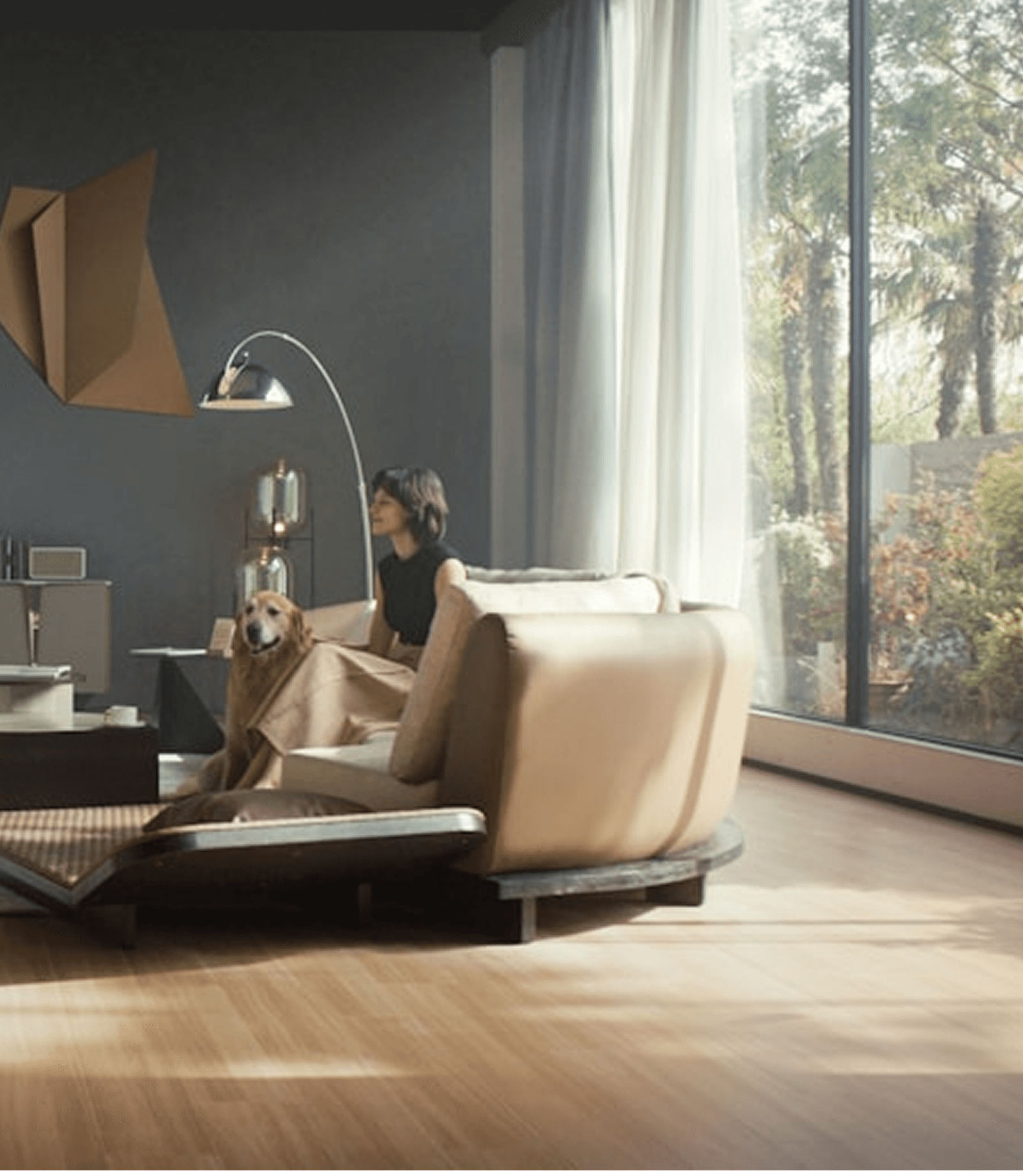 Automation Windows & Blinds